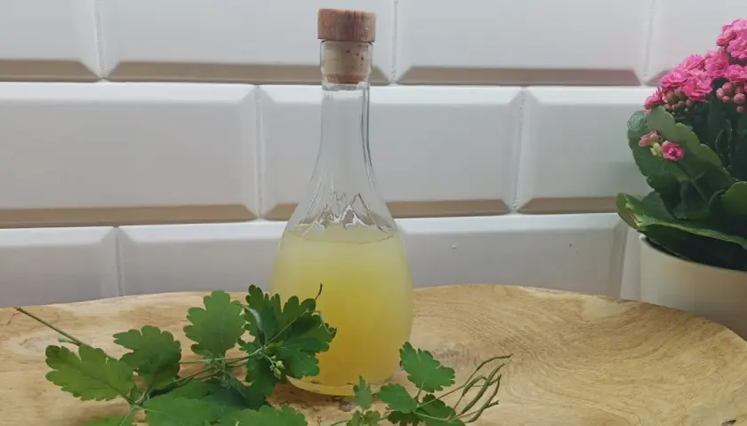 Balsam Bołotowa na co pomaga: Odkryj jego niezwykłe właściwości zdrowotne