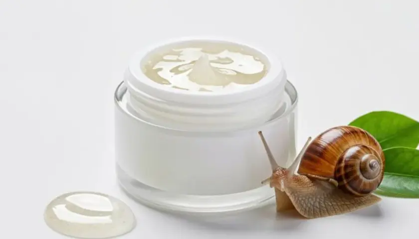 Ślimak obok słoiczka z kremem, symbolizującym naturalne składniki snailmed.