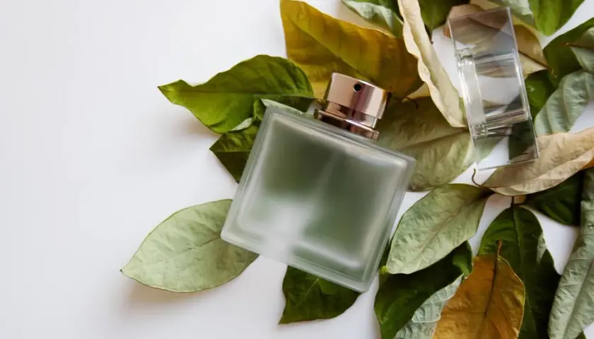 Szklana butelka perfum otoczona liśćmi, przywołująca zapach fougere.